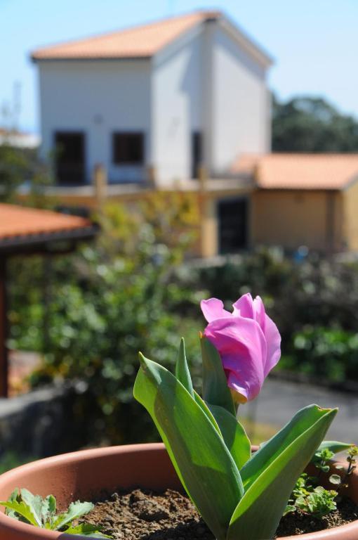 La Circumetnea Home CTA Exterior foto